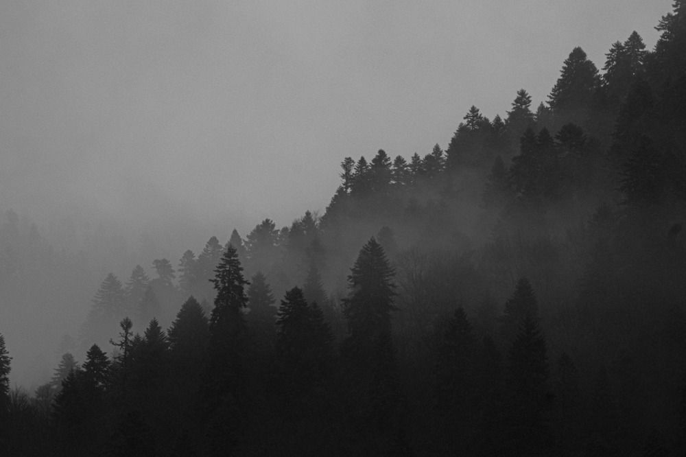 Photograph by Артем Шумов