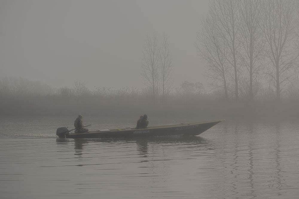 Photograph by Артем Шумов