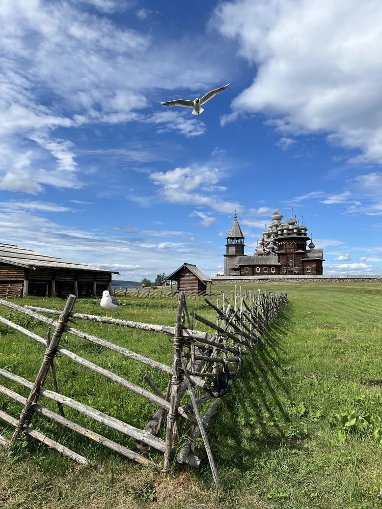 Фотография #9273007