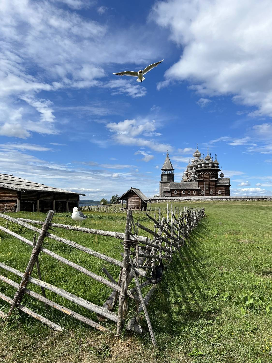Фотография #9273007