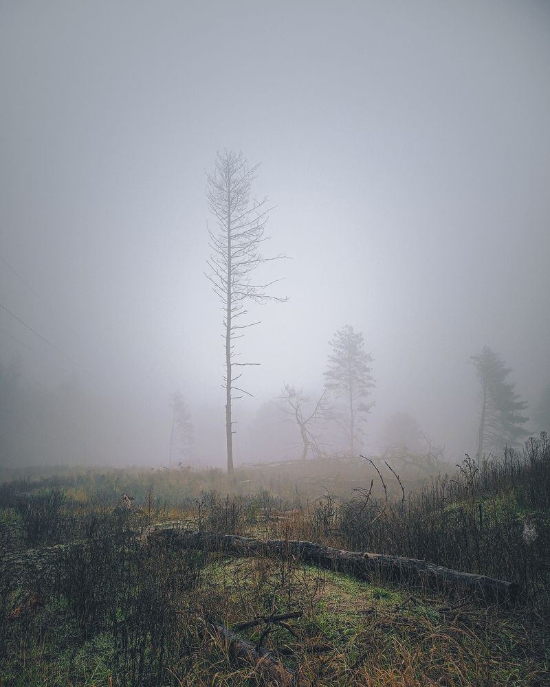 Photograph by Sergey Kolos