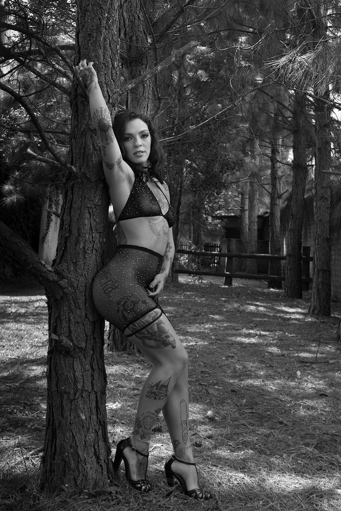 Revelatio umbrae et lux