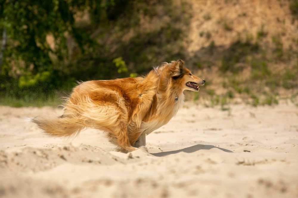 Фотография автора Татьяна