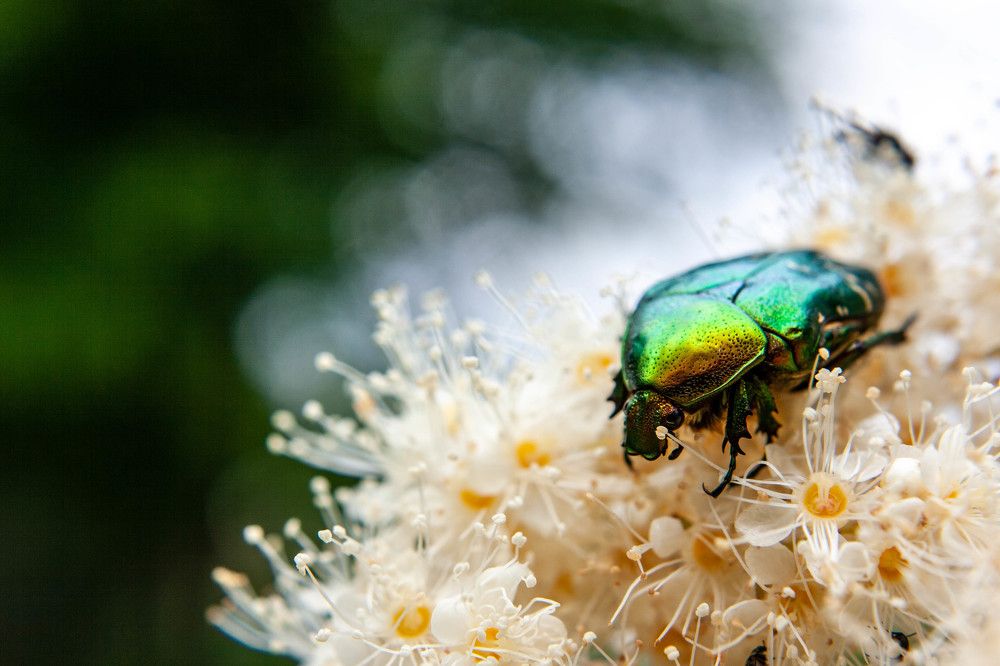 Фотография автора Ирина Гриценко