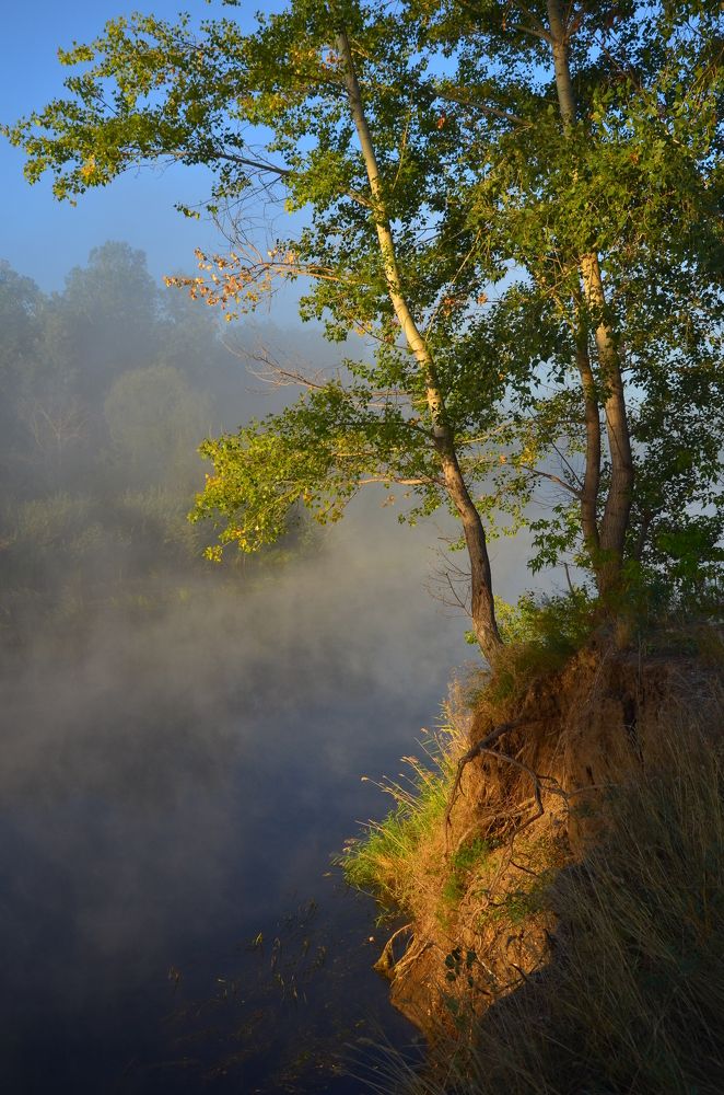 Photograph by Ольга Айдагулова