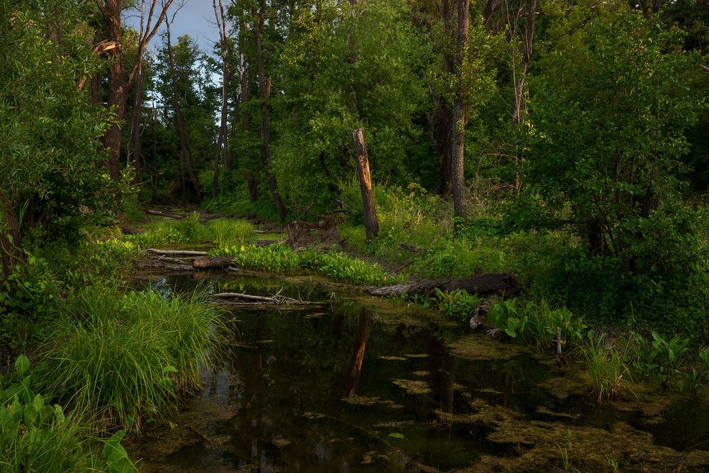 Photograph by Владислав Никишин