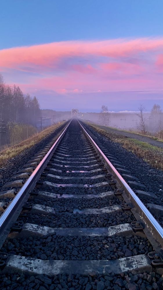 Photograph by Alina Andreevna