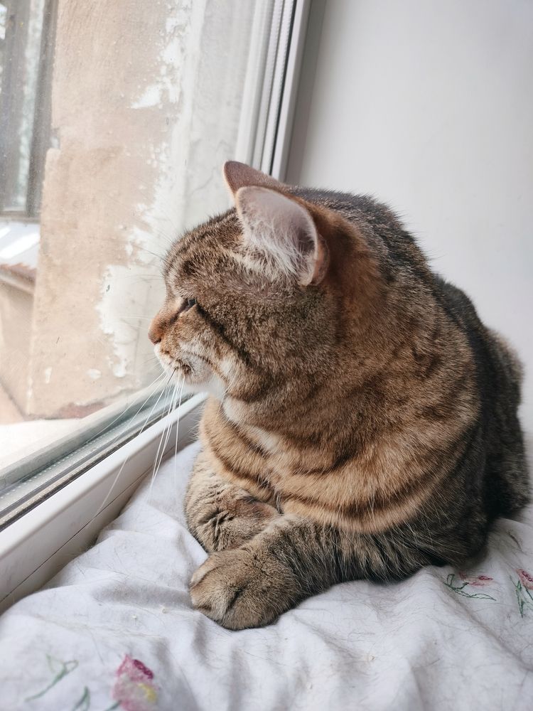 Photograph by Кристина Шацкая