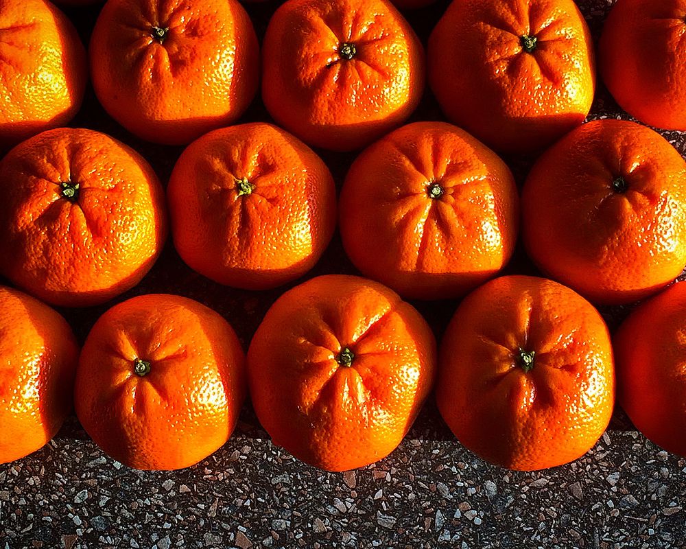 Оранжевое утро / Orange morning