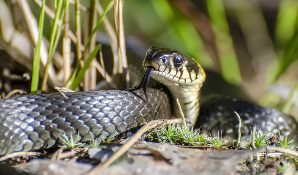 Photograph by Роман Кудрявцев