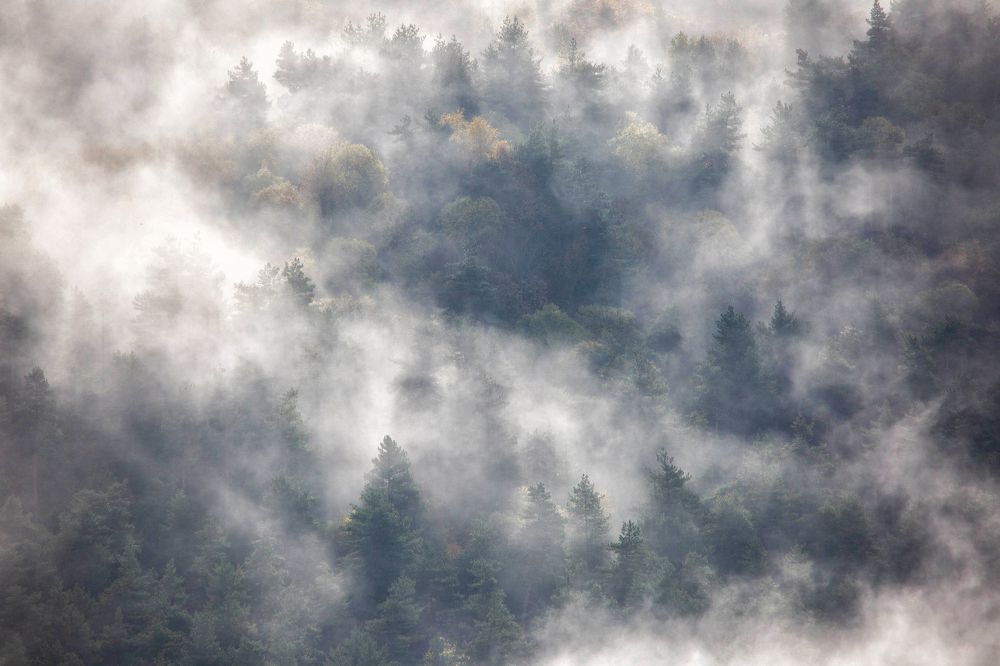 Фотография автора Ирина Гентош