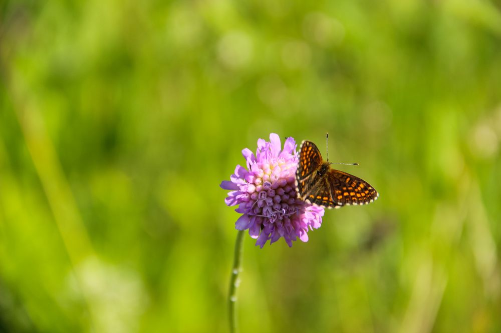 Photograph by Анна Федотова