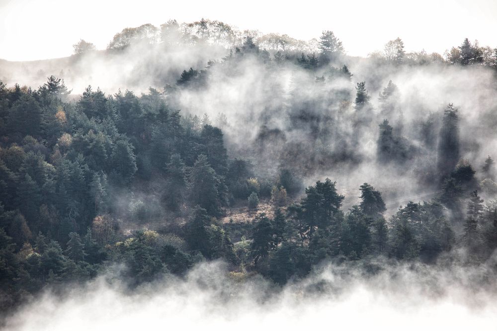 Фотография автора Ирина Гентош