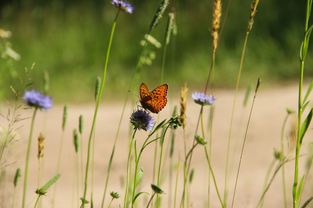 Photograph by Анна Федотова