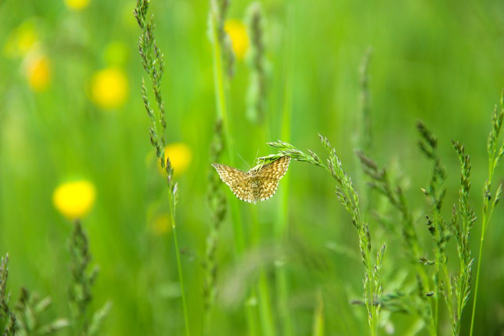 Photograph by Анна Федотова