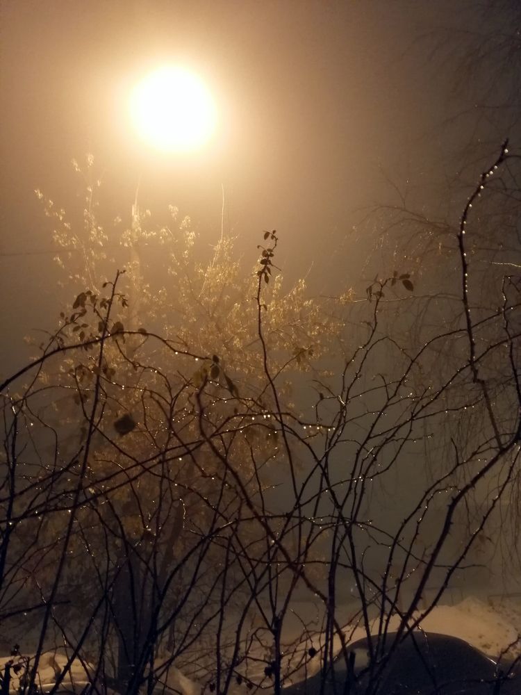 Photograph by Anna Balabanova