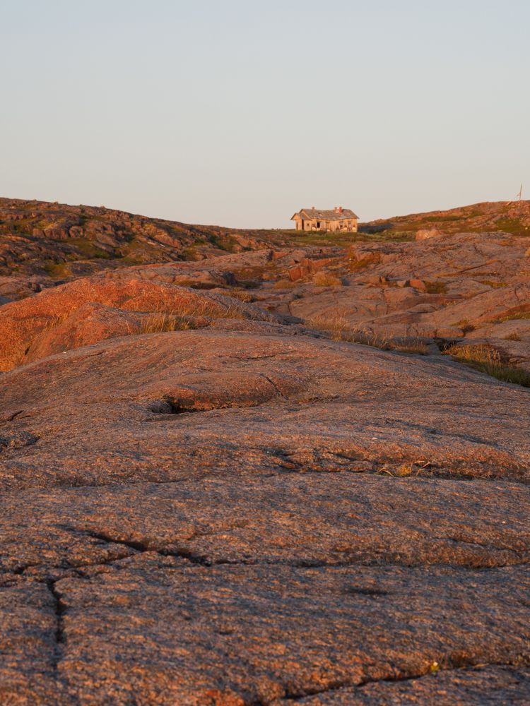 Photograph by Анна Шейко