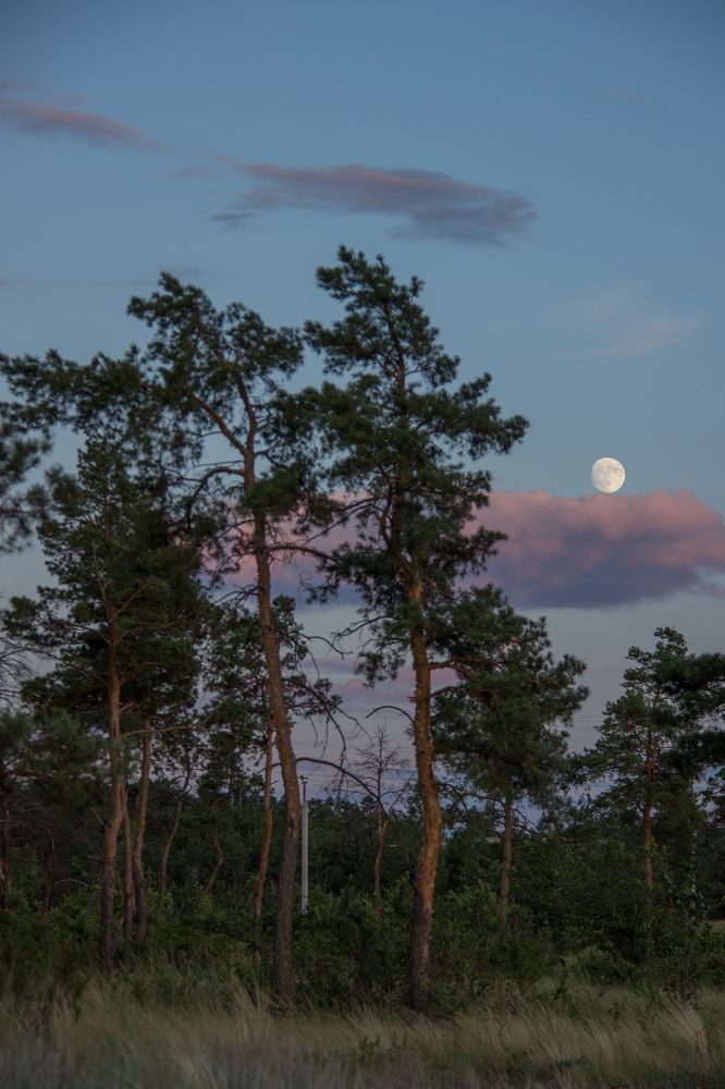 Photograph by Nastya Perekhodkina