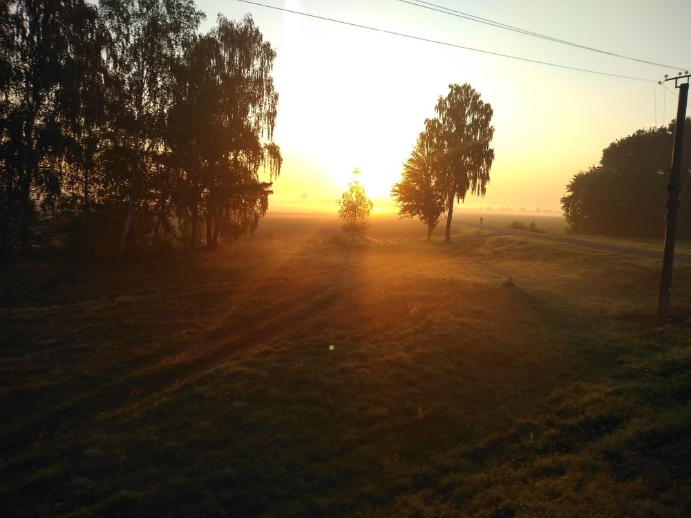 Photo #9273642