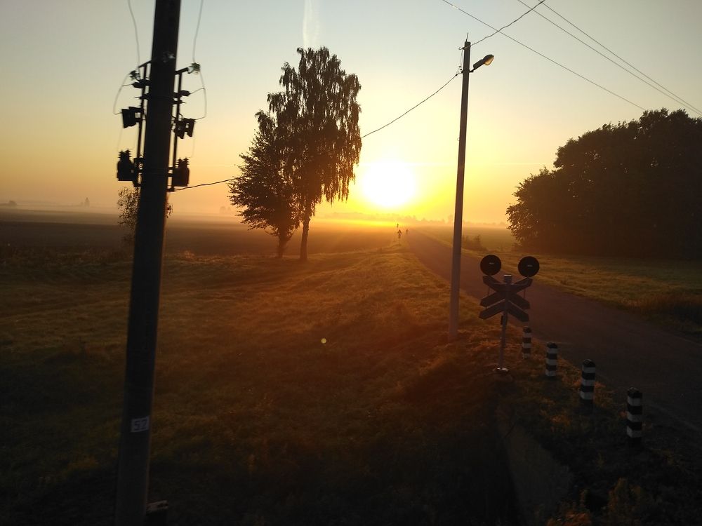 Photo #9273643
