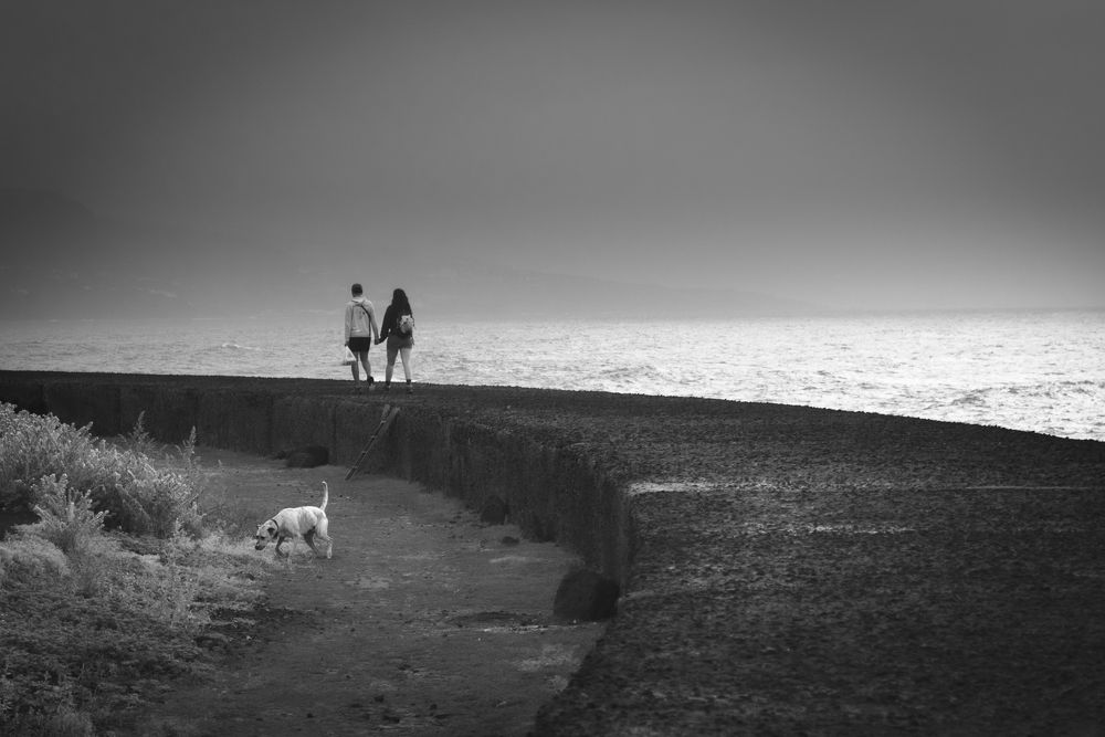 El camino de la Vida