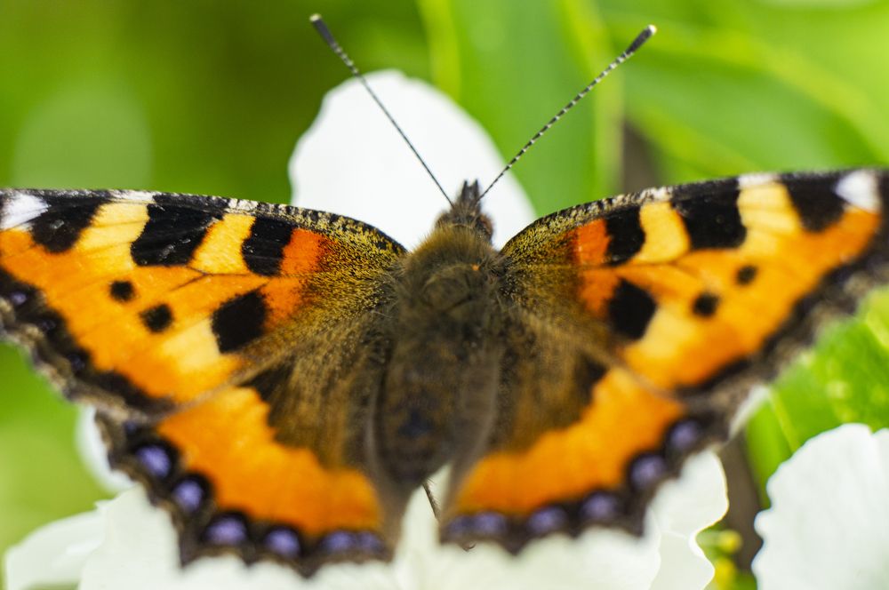 Photograph by Павел Минкевич