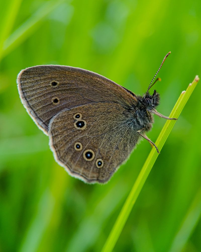 Photograph by Наталья Балабанова