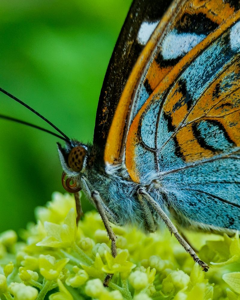 Photograph by Наталья Балабанова