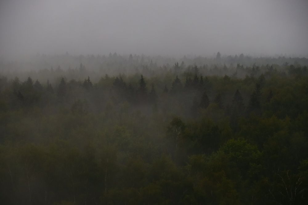 Фотография автора Марият Магомедова