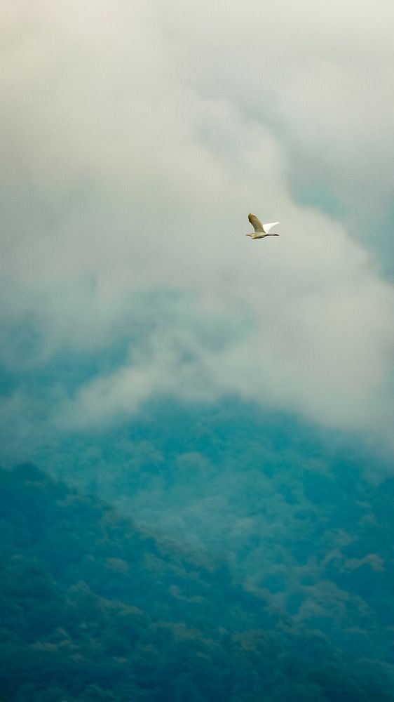 Фотография автора Nimabi Photography