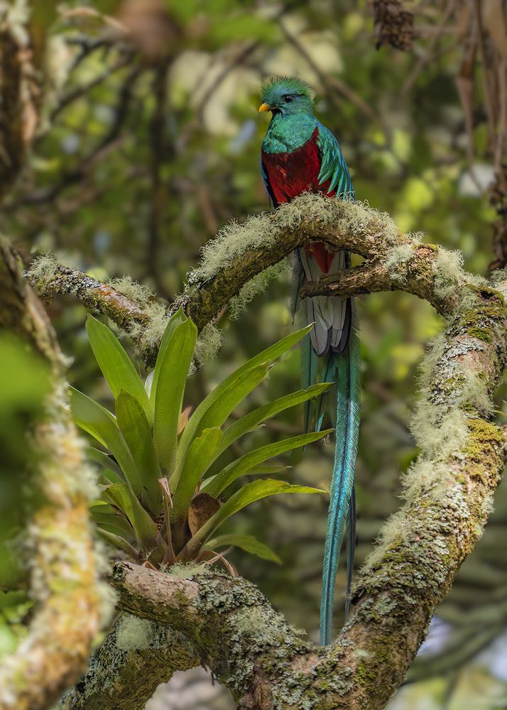 Photograph by Jose Vega