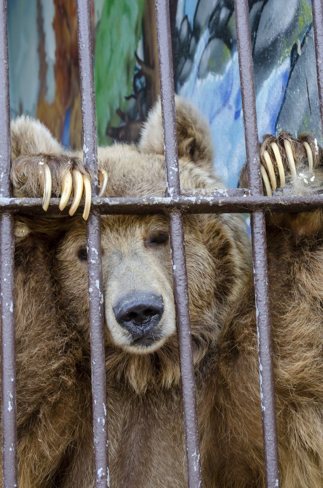 Photograph by Любовь Бусова