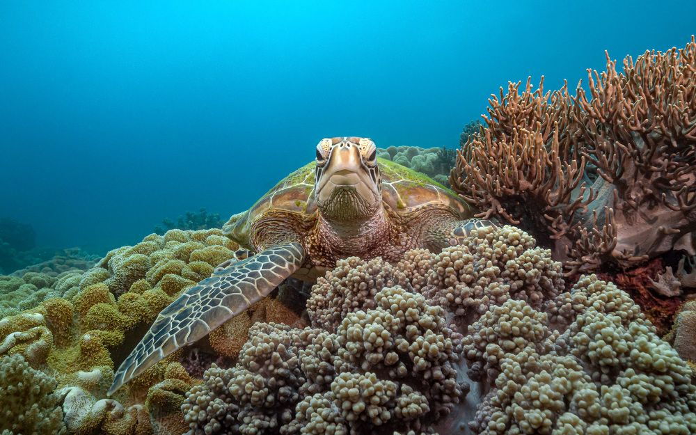 Photograph by Савин Андрей