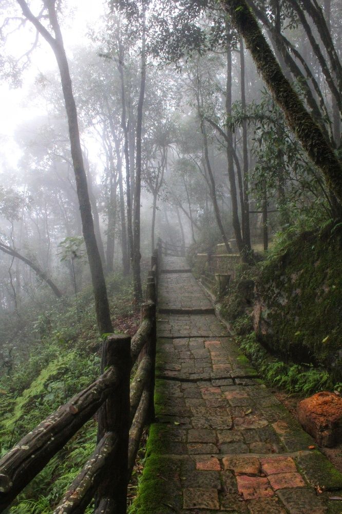 Photograph by Arindam Khatua