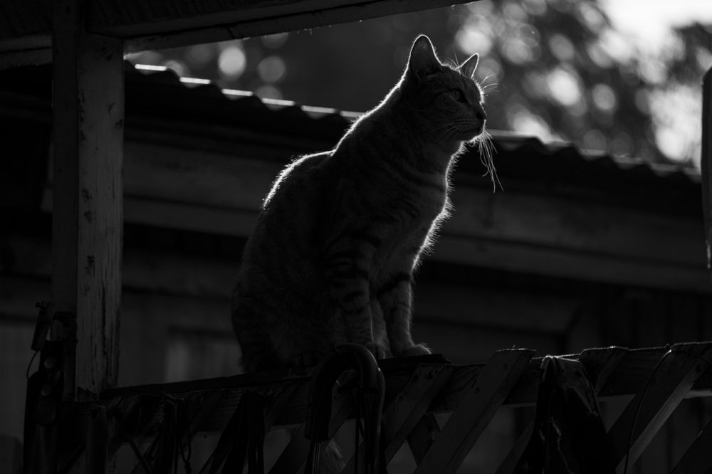 Photograph by David Bueno