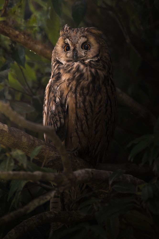 Photograph by Hiroki Matsubara