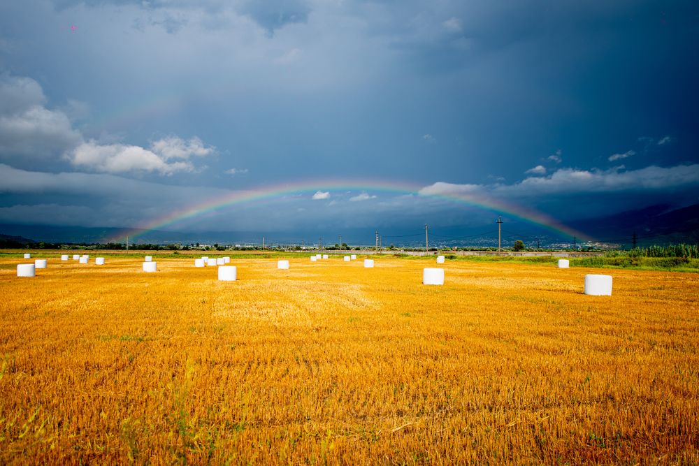 Nature supports ukraine.The end of war.