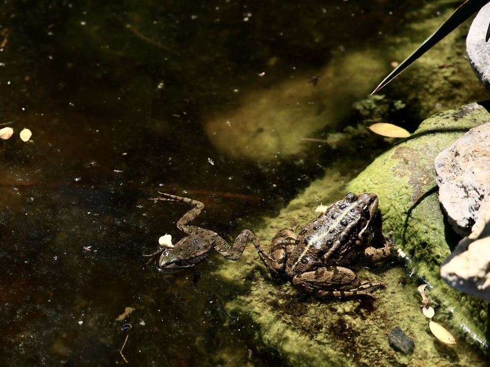 Photograph by Евгения Казакова