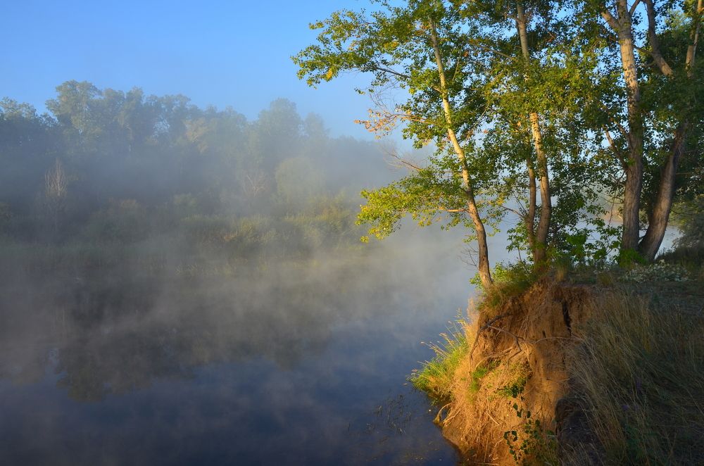 Photograph by Ольга Айдагулова