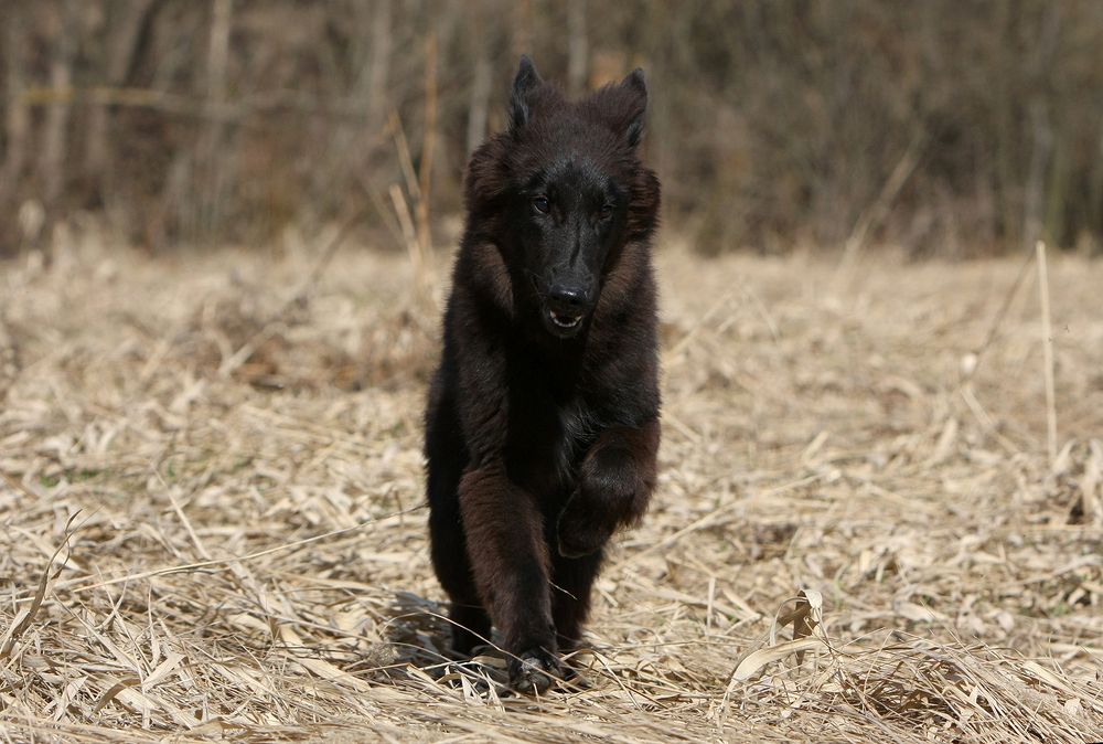 Фотография автора Надежда Лисицына