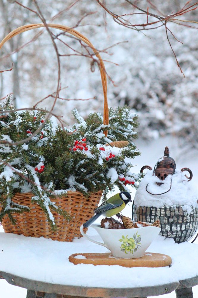 "Птица синица - морозов не боится!"