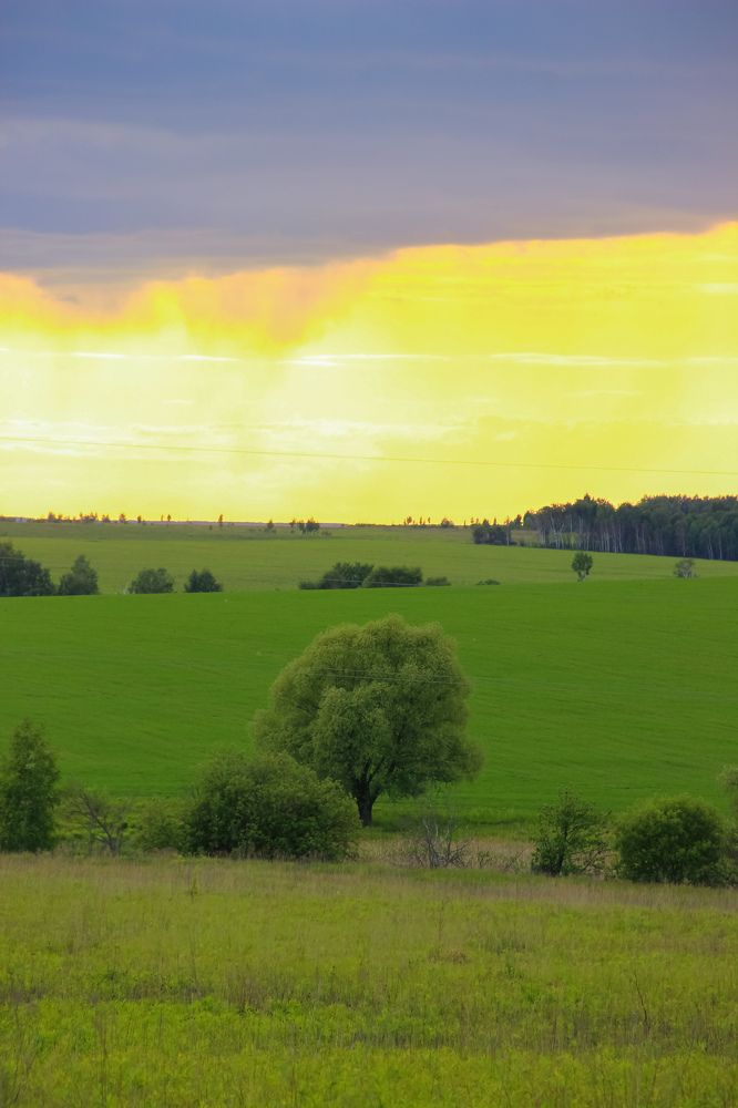 Photograph by Анна Федотова