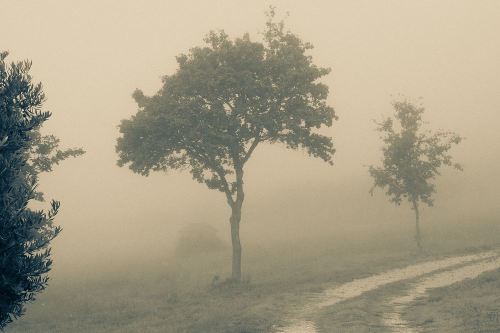 Фотография автора Нина Кулишова