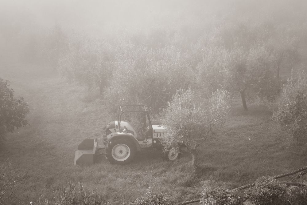 Фотография автора Нина Кулишова