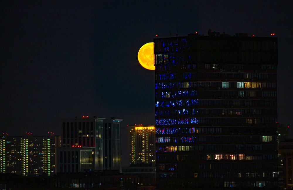 Фотография автора Александр Довганюк