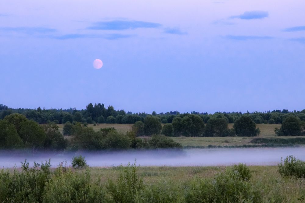 Photograph by Алексей Голубев
