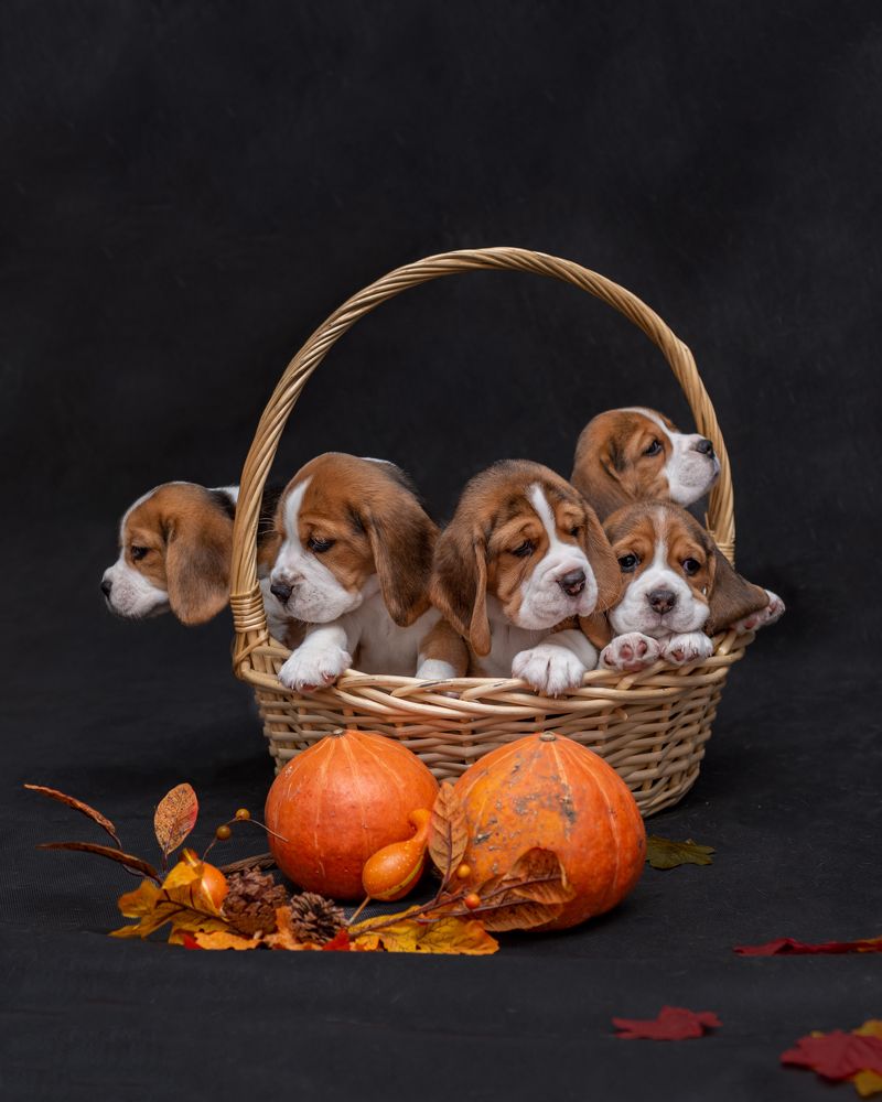 Photograph by Виктория Сафонова