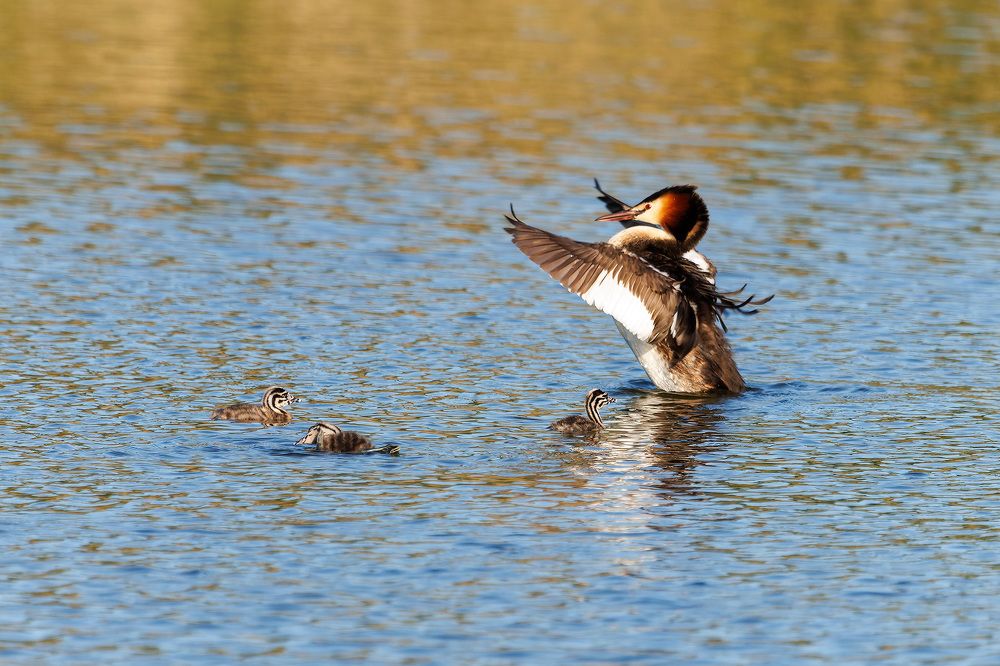 Photograph by Вячеслав Орос