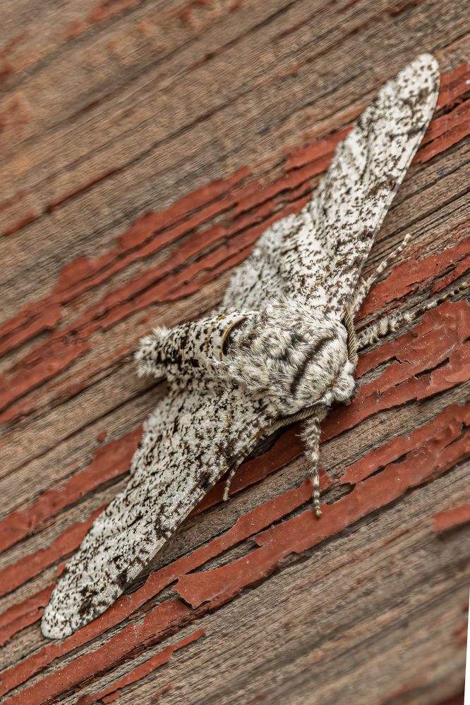 Photograph by Сергей