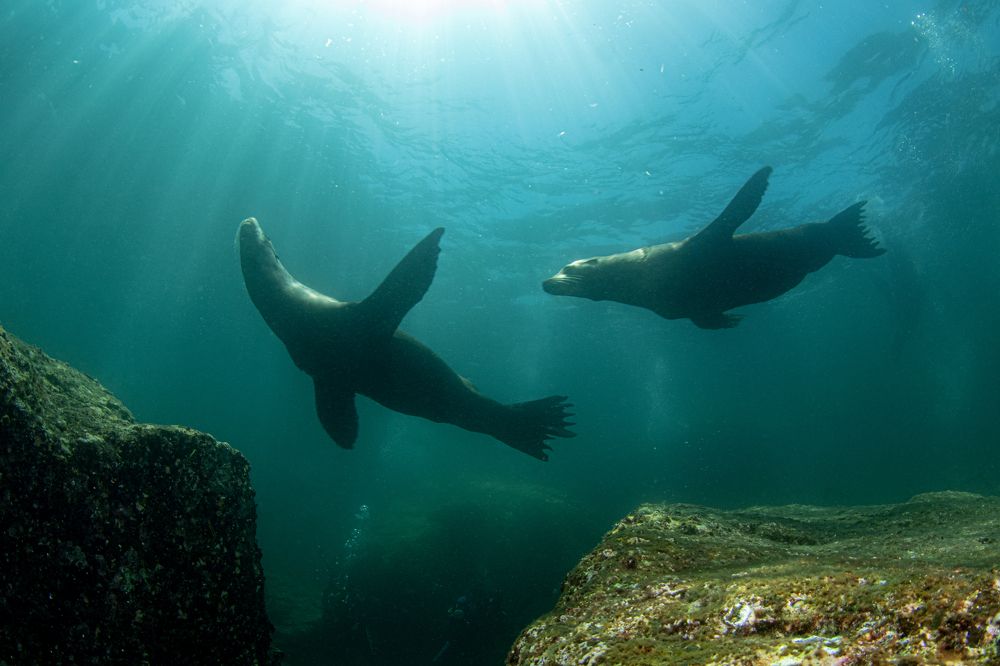 Photograph by Deniz muzaffer Gokmen